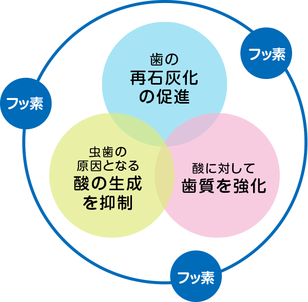 フッ素塗布の効果