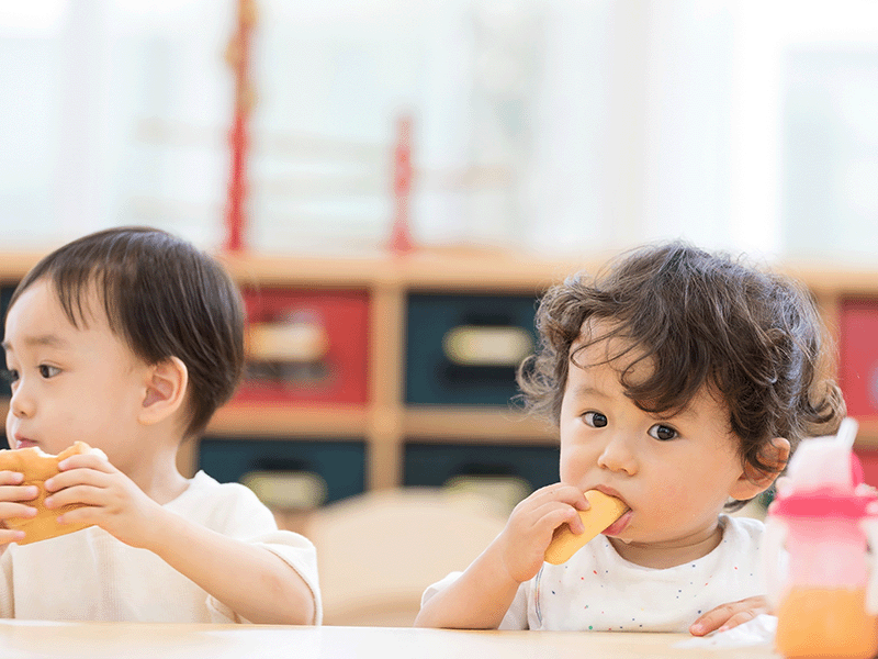 フッ素　生えたての乳歯